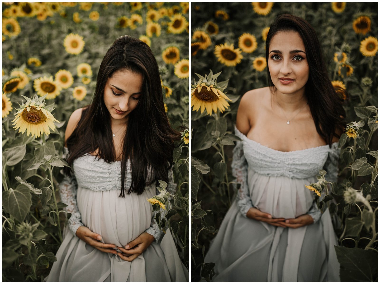 gravidfotografering stockholm solrosfält